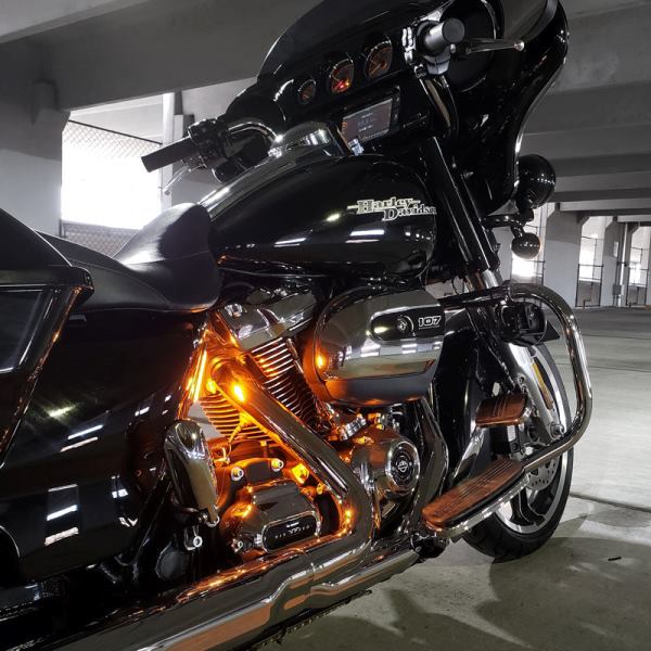 DENALI-Plug n Play Cansmart Controller for Harley Davidson Gen II (DNL.WHS.12300) - Image 3