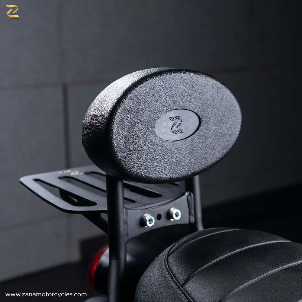 ZANA Back Rest with Parcel Shelf for Triumph Street Twin-ZP-032 - Image 3