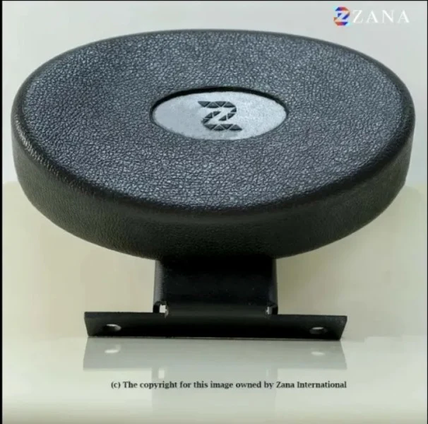 ZANA Pillion Backrest for Harley Davidson X440 - ZI-8204
