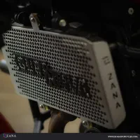 ZANA Radiator Grill With Logo for Guerrilla 450 (Honeycomb Silver) - Type-3 (Coming Soon) - ZI-8527 - Image 3
